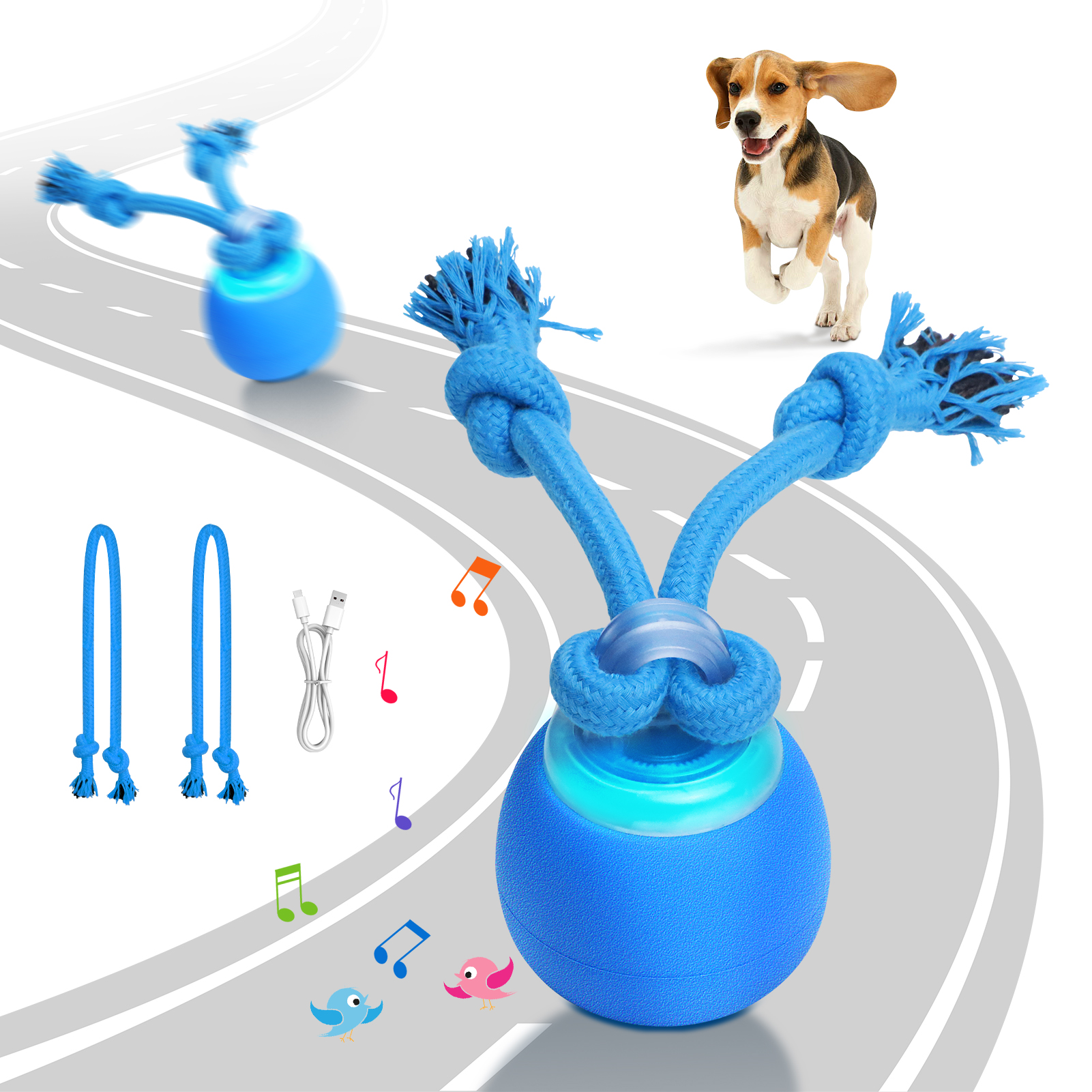 Dog Wicked Ball